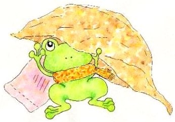 布からチラ見するカエル