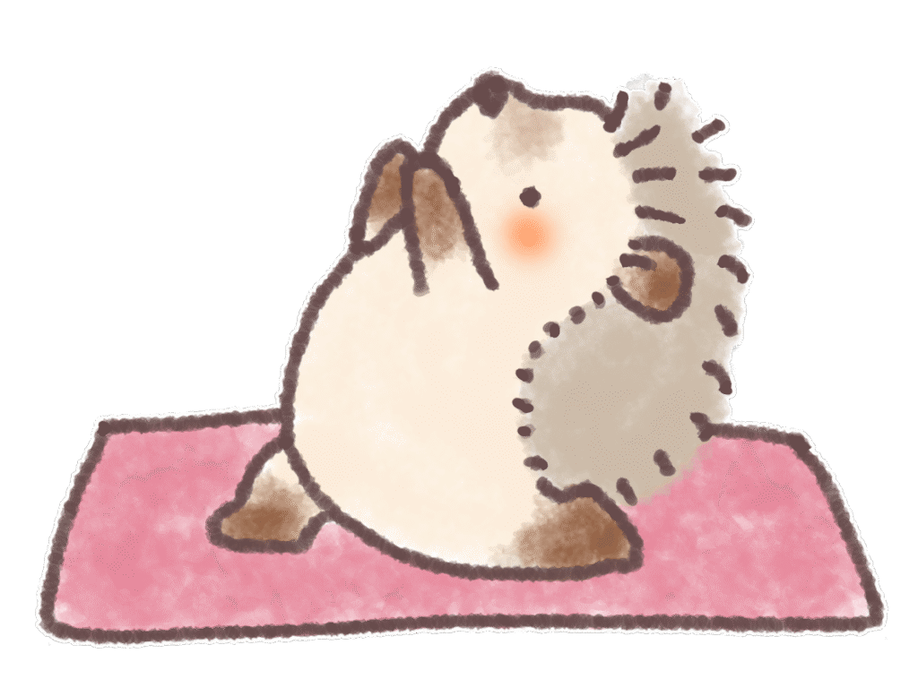 ヨガをするハリネズミ
