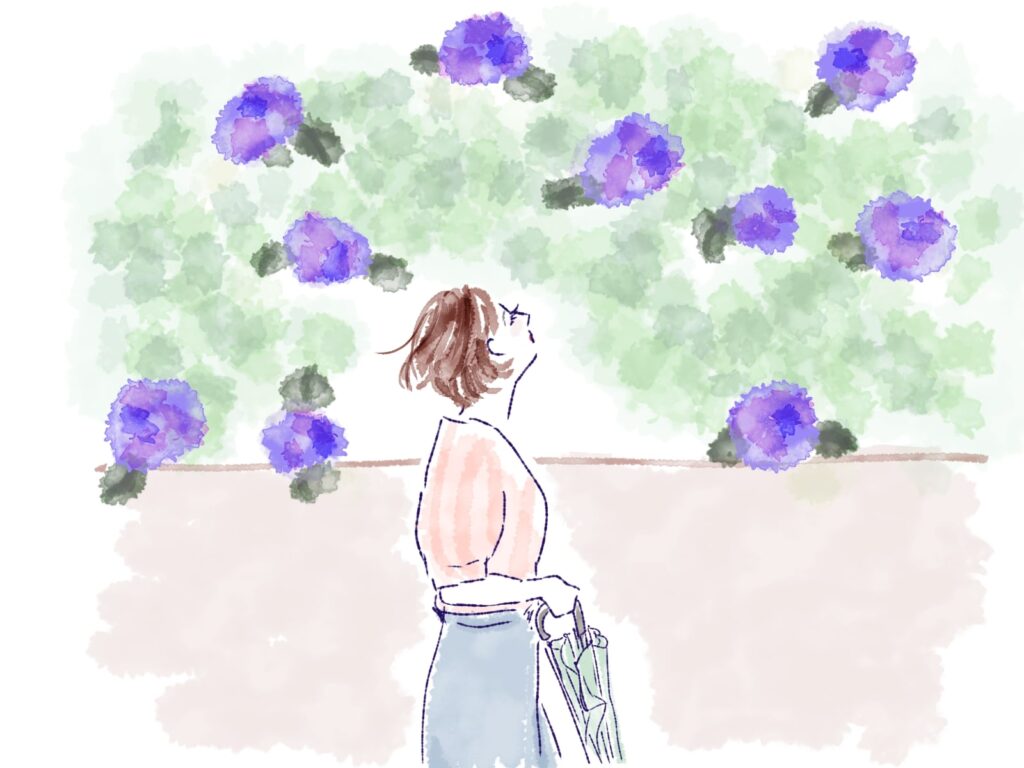 塀の上の紫の花を見る女の人