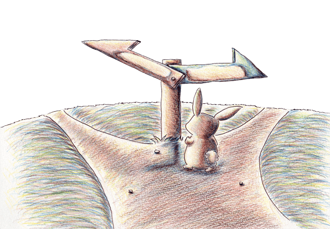 分かれ道に悩むうさぎ